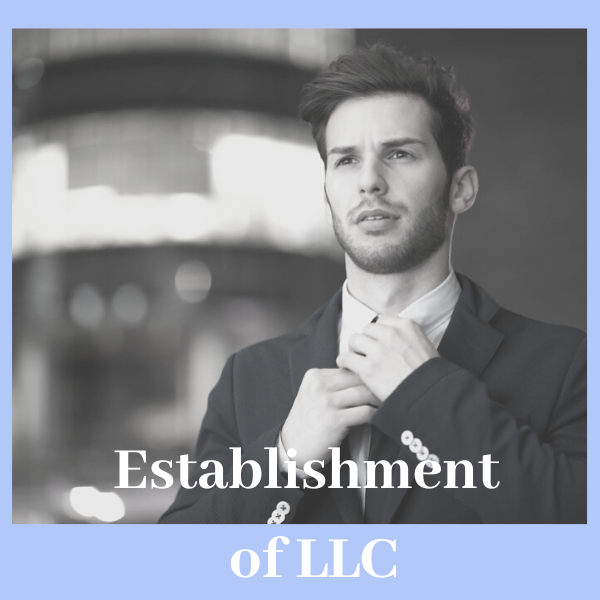establishment of LLC Switzerland